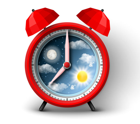 What is your sleep pattern (chronobiology) and how to use it to improve productivity